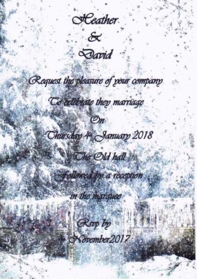 Winter Wonderland Snow Wedding Invitation