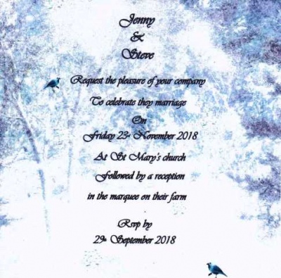 Winter wonderland Bird Wedding Invitation