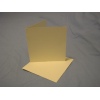125mm x 125mm Ivory Card and Envelopes pk 10