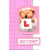 Cuddly in Pink Hen Party Invitation