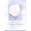 White Rose texture Evening Invitation
