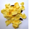 Yellow Artificial Rose Petals